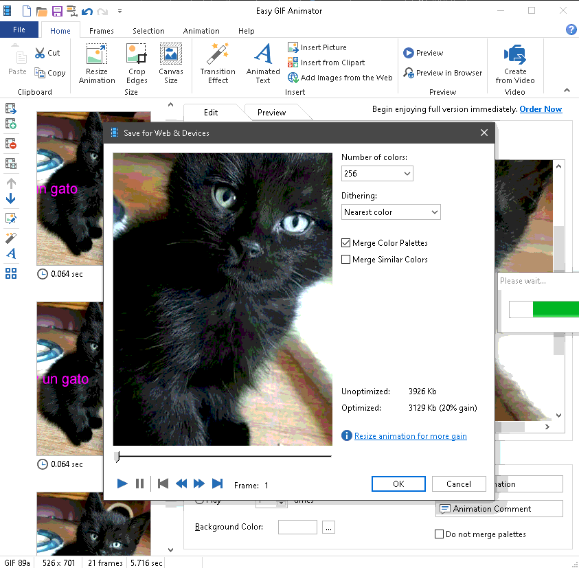 Easy GIF Animator Patcher image 2